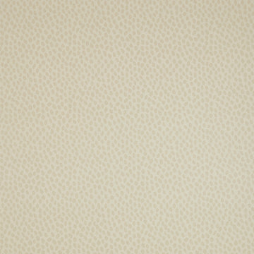 Anna French Spot On AT1411 wallpaper in beige on cream with small organic dots