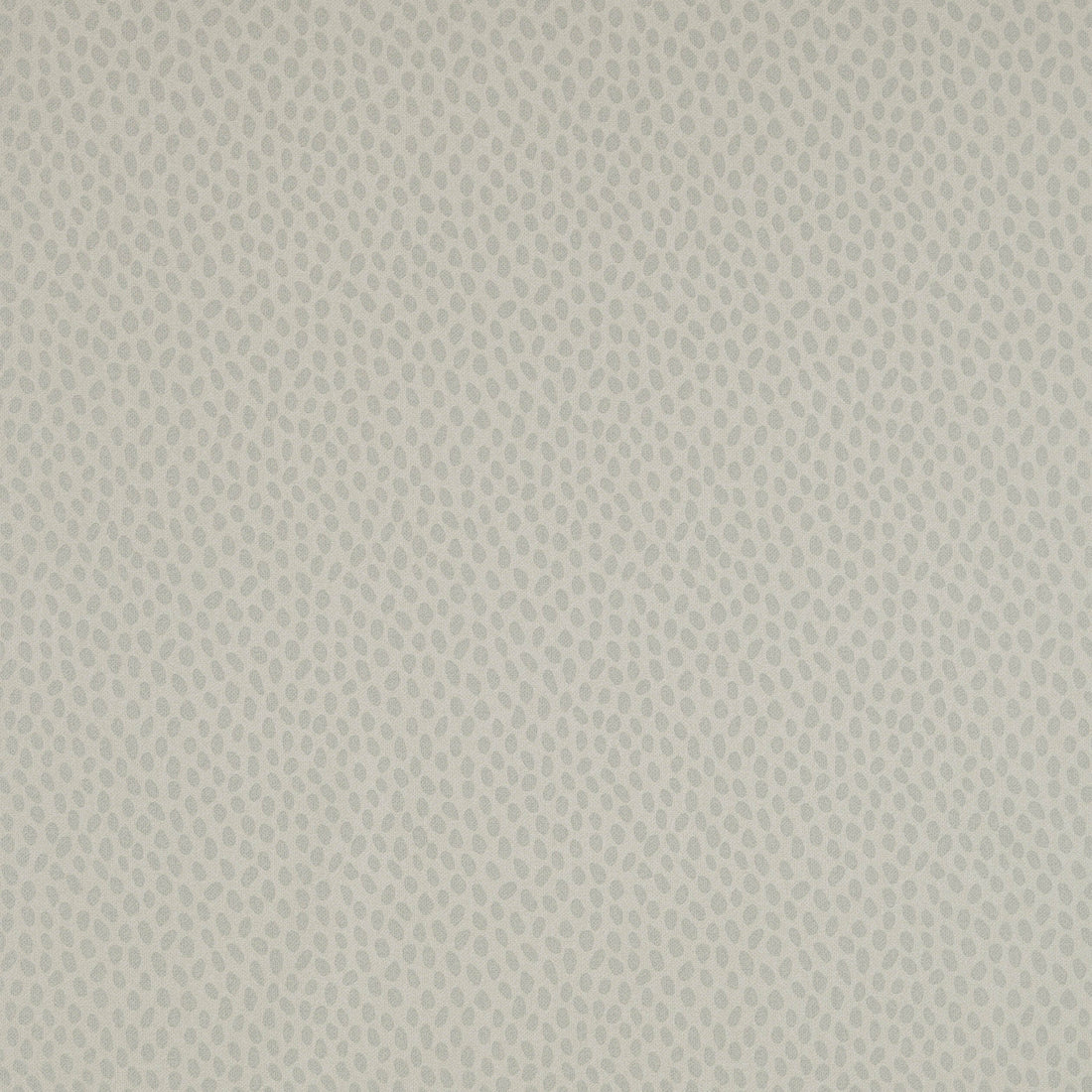 Anna French Spot On Silver AT1412 wallpaper with small light grey dots on a soft white background