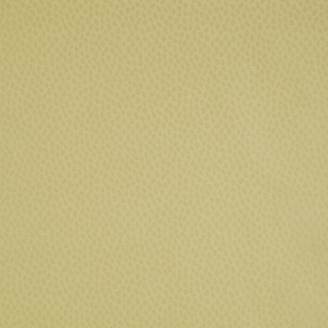 Anna French Spot On Citron Pearl AT1413 wallpaper with tonal dot pattern in warm citron yellow.