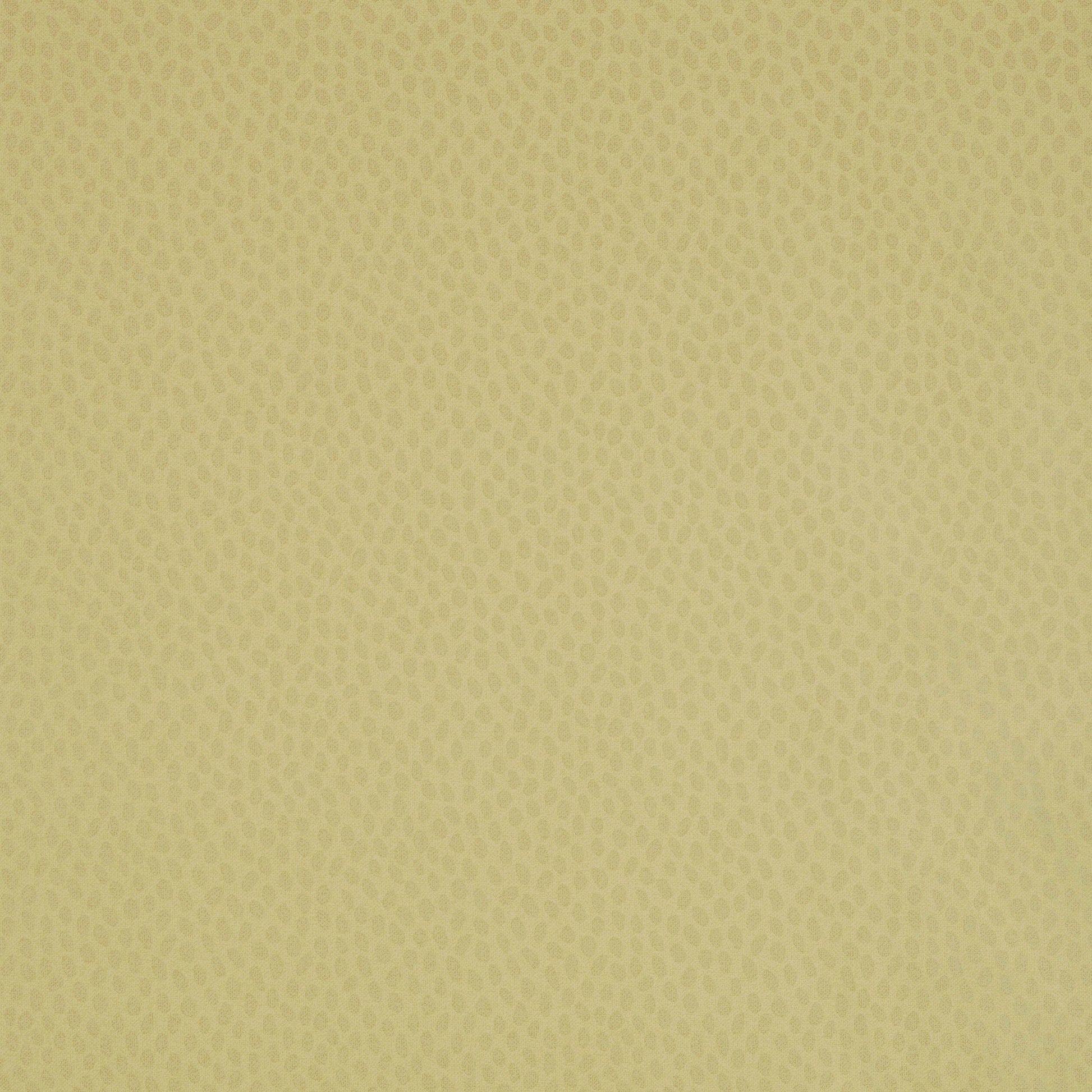 Anna French Spot On Citron Pearl AT1413 wallpaper with tonal dot pattern in warm citron yellow.