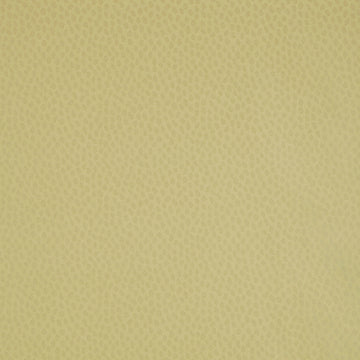 Anna French Spot On Citron Pearl AT1413 wallpaper with tonal dot pattern in warm citron yellow.