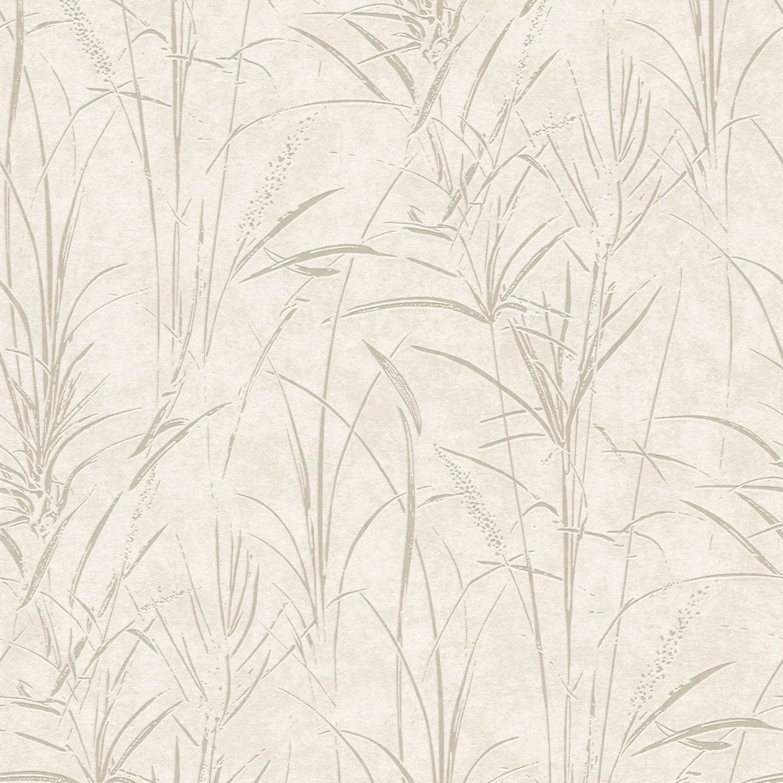 AS Creation Cosiness 792821 cream botanical grass wallpaper with subtle metallic gloss on a smooth matte ground
