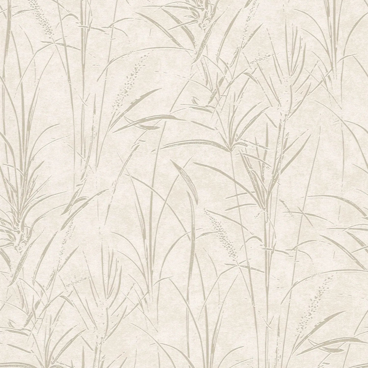 AS Creation Cosiness 792821 cream botanical grass wallpaper with subtle metallic gloss on a smooth matte ground