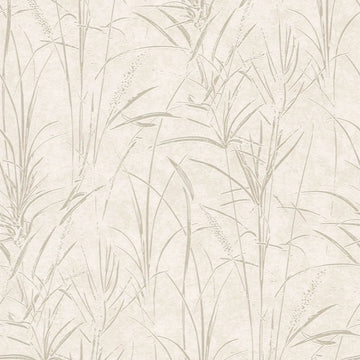 AS Creation Cosiness 792821 cream botanical grass wallpaper with subtle metallic gloss on a smooth matte ground