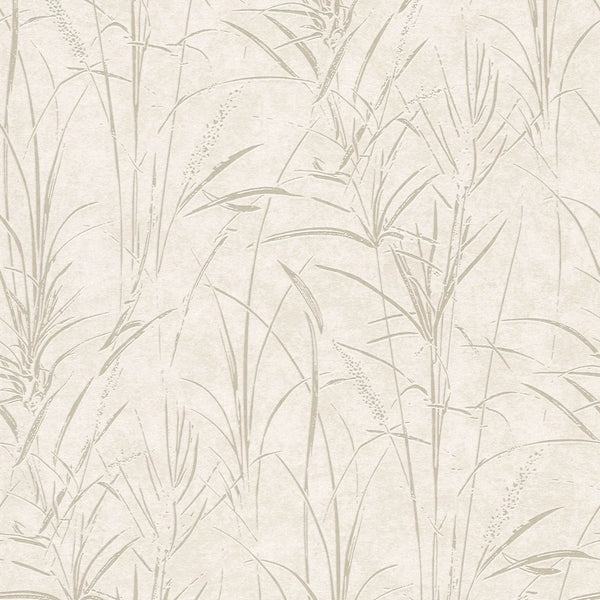 AS Creation Cosiness 792821 cream botanical grass wallpaper with subtle metallic gloss on a smooth matte ground