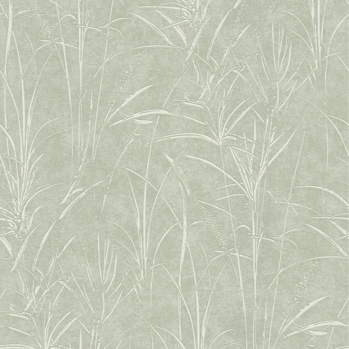 AS Creation Cosiness 792822 sage green leafy wallpaper with subtle metallic highlights on a smooth matte background