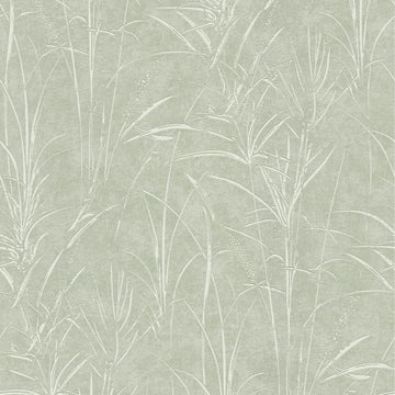 AS Creation Cosiness 792822 sage green leafy wallpaper with subtle metallic highlights on a smooth matte background