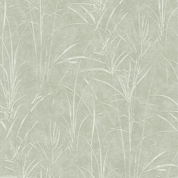 AS Creation Cosiness 792822 sage green leafy wallpaper with subtle metallic highlights on a smooth matte background
