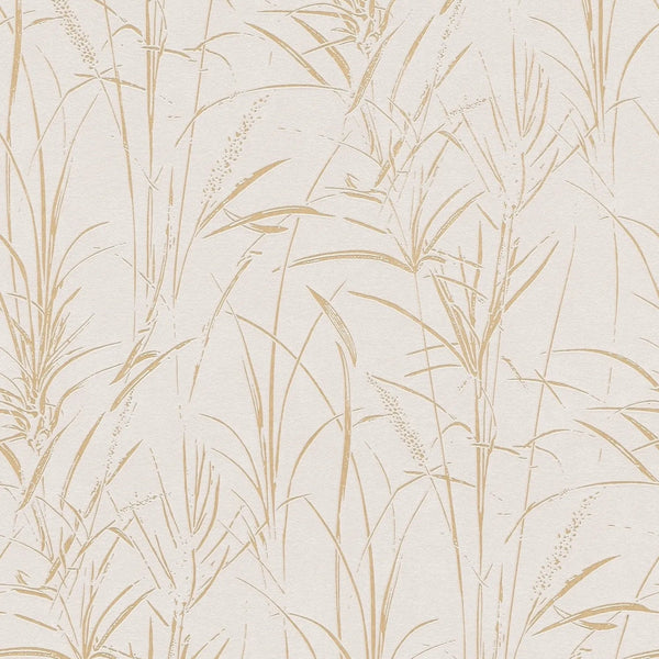AS Creation Cosiness 792823 botanical grass wallpaper in brown, cream, and metallic on a smooth matte ground with a slight glossy highlight