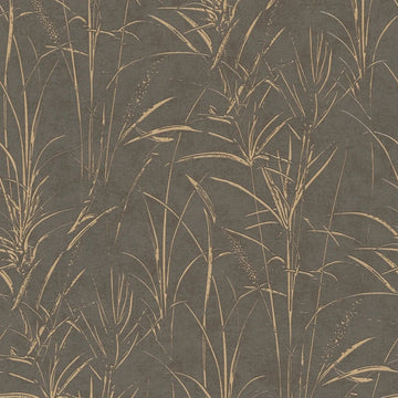 AS Creation Cosiness 792825 brown and grey botanical grass wallpaper with subtle metallic highlights on a smooth ground