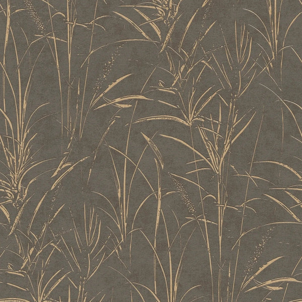 AS Creation Cosiness 792825 brown and grey botanical grass wallpaper with subtle metallic highlights on a smooth ground