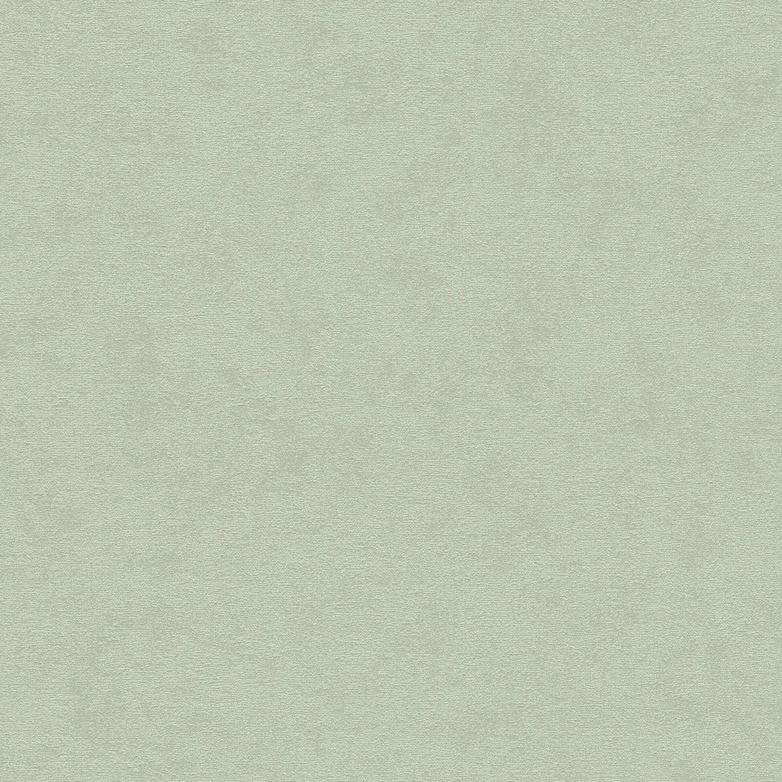 AS Creation Cosiness 792842 green textured wallpaper with a matte slightly structured plaster look