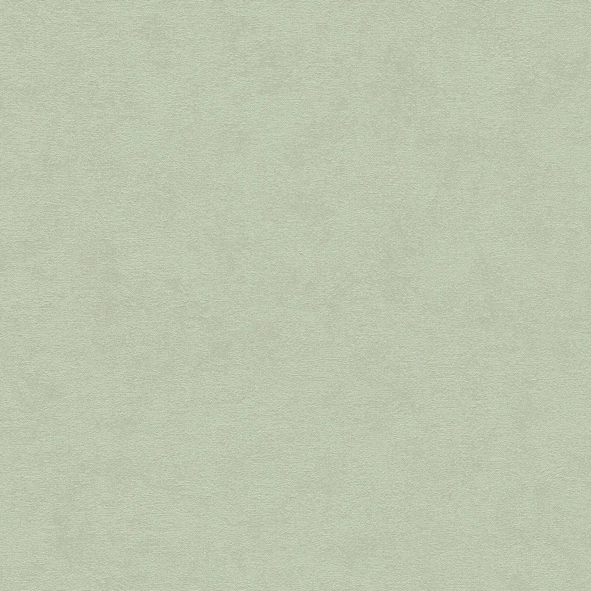 AS Creation Cosiness 792842 green textured wallpaper with a matte slightly structured plaster look