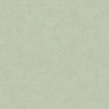 AS Creation Cosiness 792842 green textured wallpaper with a matte slightly structured plaster look