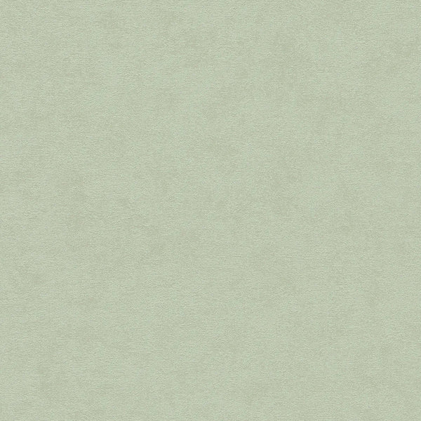 AS Creation Cosiness 792842 green textured wallpaper with a matte slightly structured plaster look