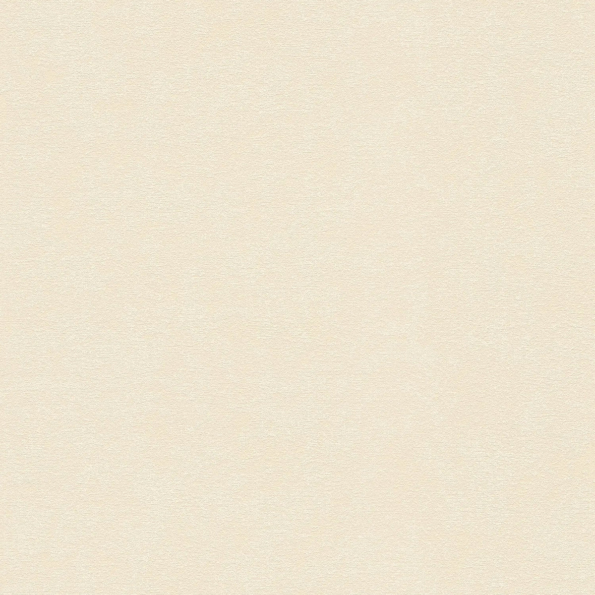 AS Creation Cosiness 792843 beige cream textured nonwoven wallpaper with a soft matte plaster like look
