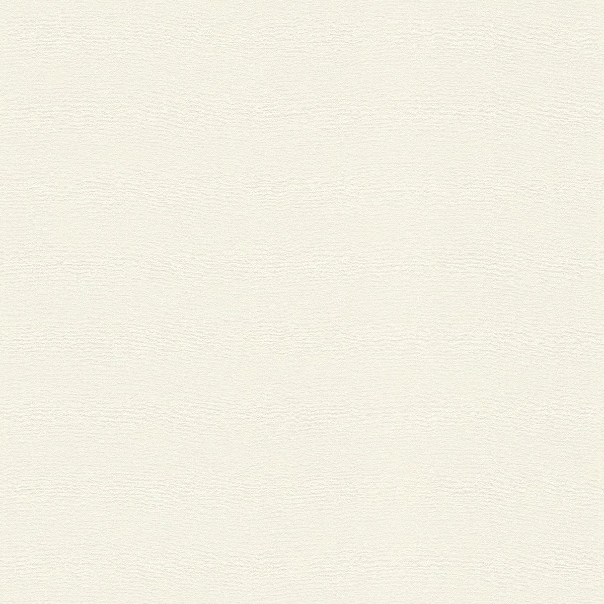 AS Creation Cosiness 792844 cream nonwoven wallpaper with a matte, slightly structured plaster look