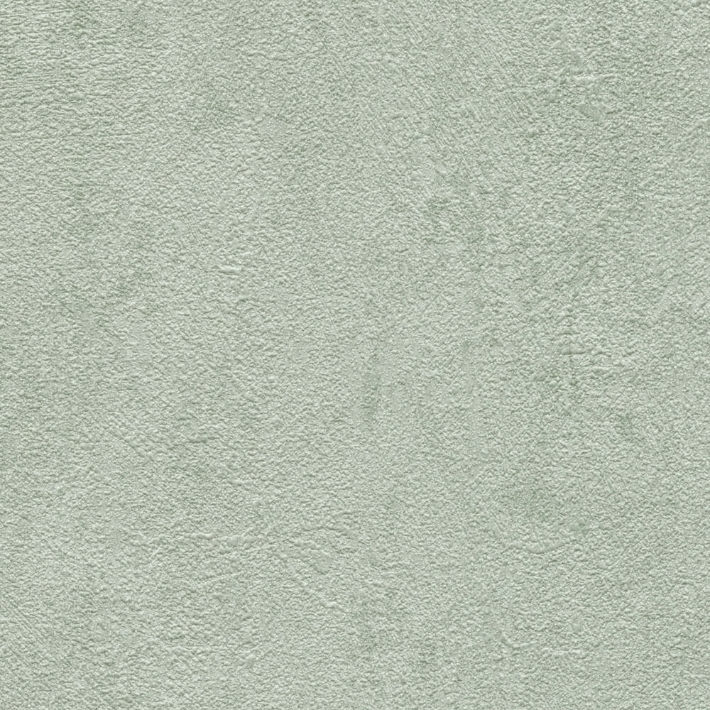 AS Creation Cosiness 793156 close up of Green wallpaper showing a subtle textured look with gentle tonal variation.