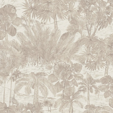 AS Creation Cosiness 793172 beige and brown tropical palm scenic wallpaper with subtle gloss and fine texture