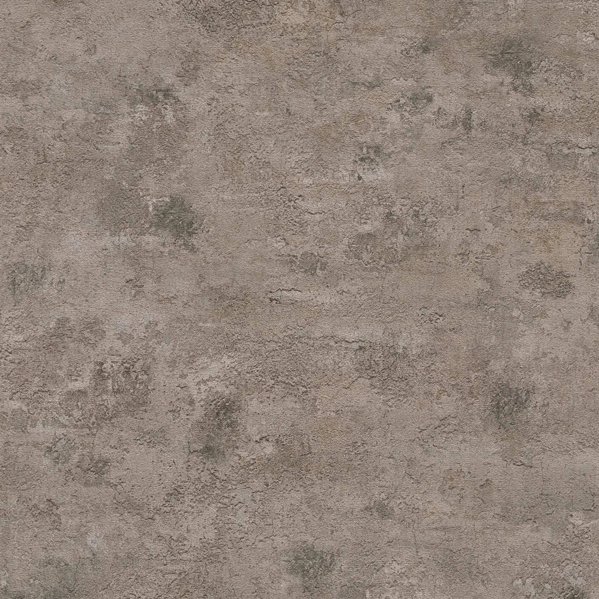AS Creation Cosiness 793181 brown and grey plaster look wallpaper with subtle gloss and lightly structured texture.