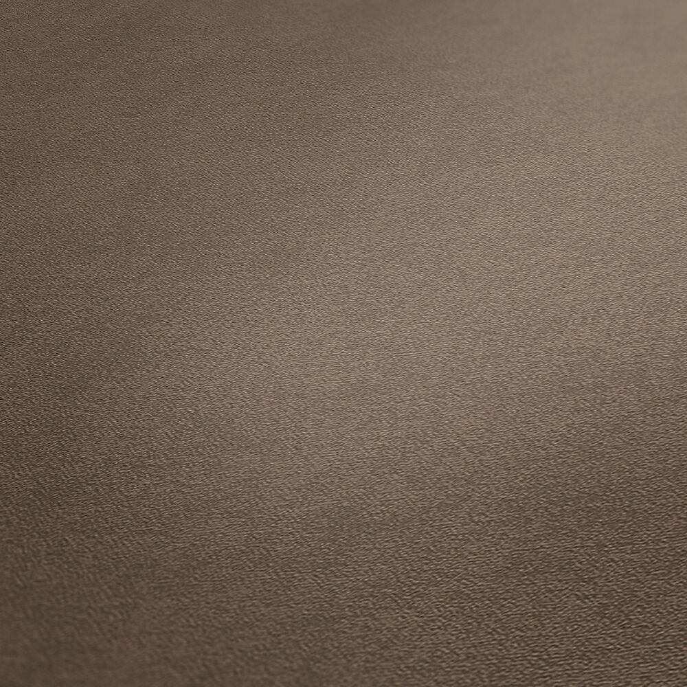AS Creation French Affair 393419 close up of Brown textured wallpaper showing fine grain across the surface.