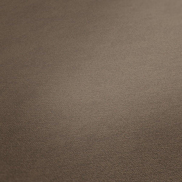 AS Creation French Affair 393419 close up of Brown textured wallpaper showing fine grain across the surface.