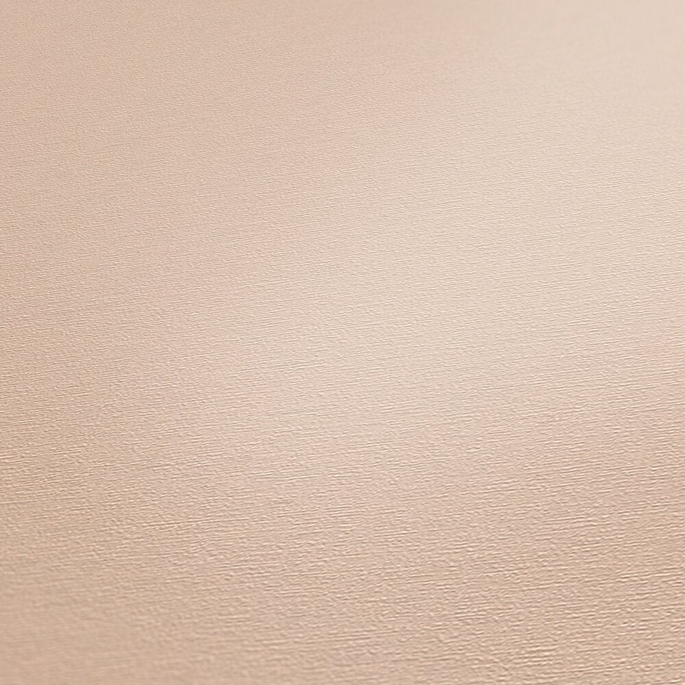 AS Creation French Affair 395757 close up of Beige, Cream textured wallpaper showing a fine grain surface.