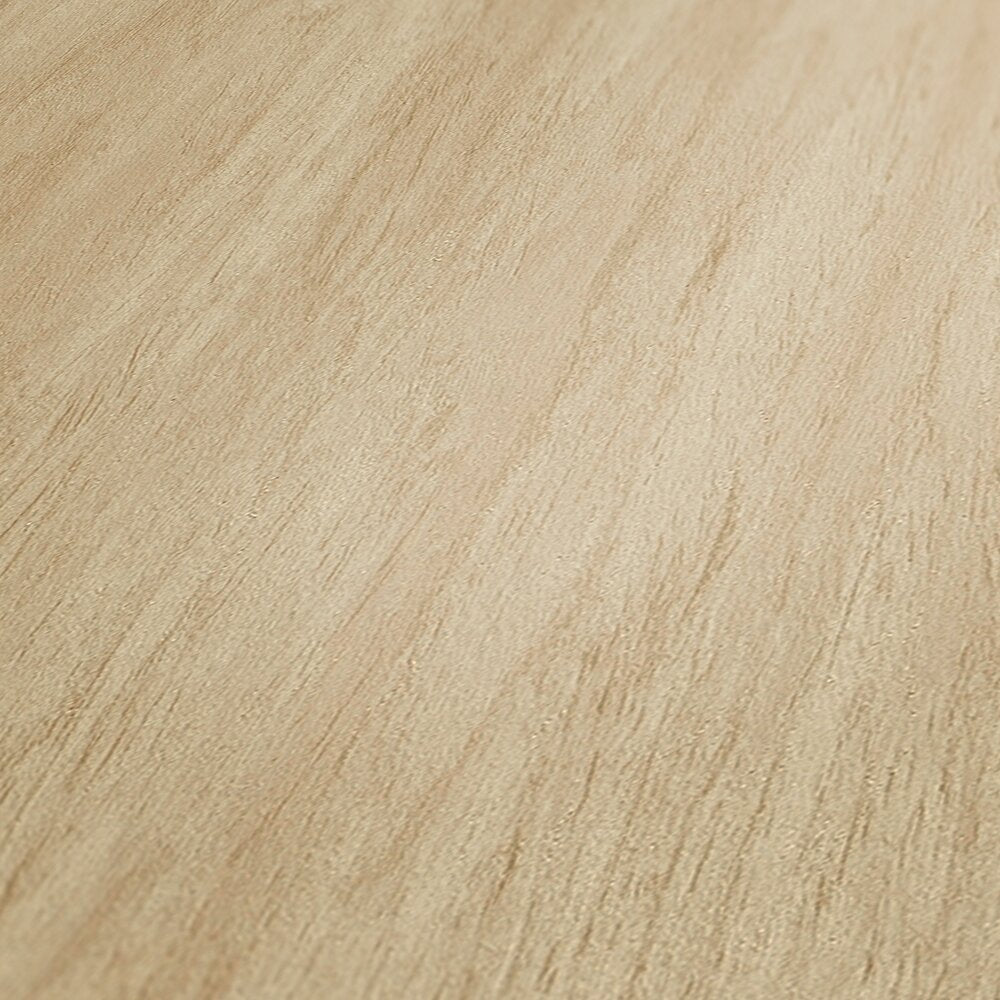 AS Creation French Affair 398011 close up of Beige, Cream wallpaper showing a subtle striated texture with soft linear strokes.