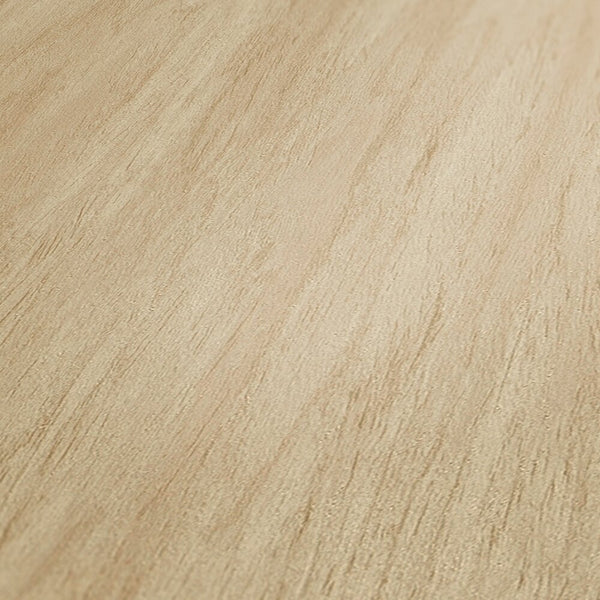 AS Creation French Affair 398011 close up of Beige, Cream wallpaper showing a subtle striated texture with soft linear strokes.