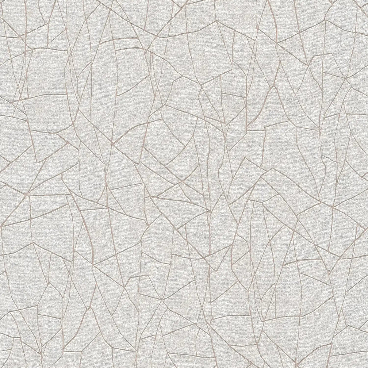 AS Creation French Affair 399341 grey and white geometric polygon line wallpaper on embossed nonwoven