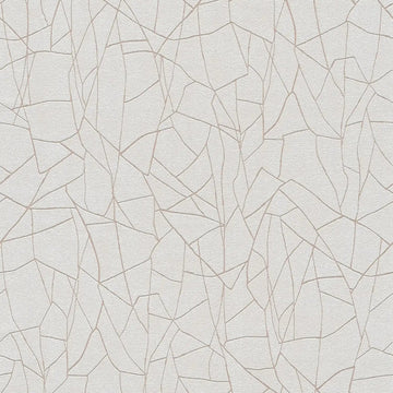AS Creation French Affair 399341 grey and white geometric polygon line wallpaper on embossed nonwoven