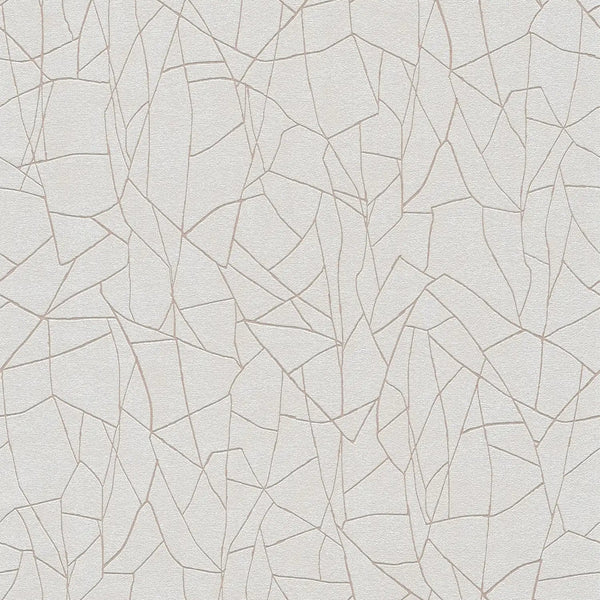 AS Creation French Affair 399341 grey and white geometric polygon line wallpaper on embossed nonwoven