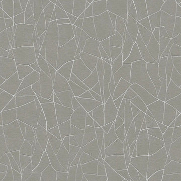 AS Creation French Affair 399343 geometric grey and white wallpaper with embossed structure foam