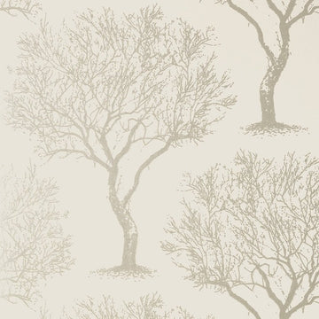 Anna French Winfell Forest AT6001