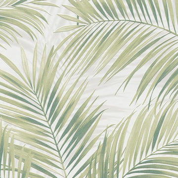 Erismann Cameo 10531-07 sage green palm leaf wallpaper sample.