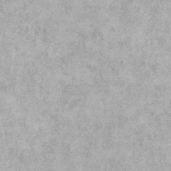 Erismann Elysium 10473-10 light grey plaster-effect wallpaper close-up