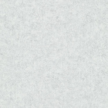 Erismann Fashion For Walls 4 10377-31 silver grey plaster-effect non-woven wallpaper