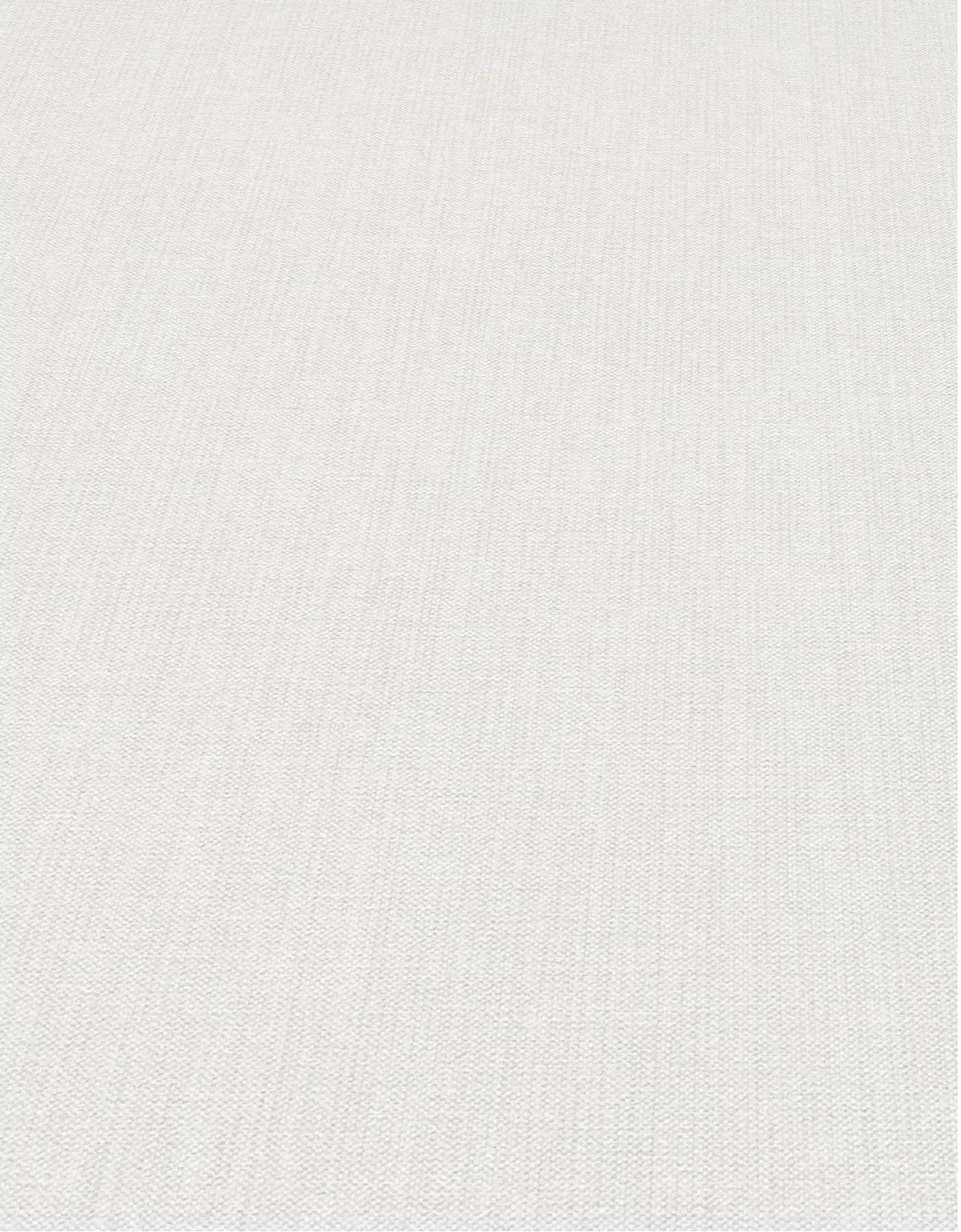 Erismann Forest Dreams 10559-02 wallpaper plain off-white woven texture with subtle vertical striations and fine grain.