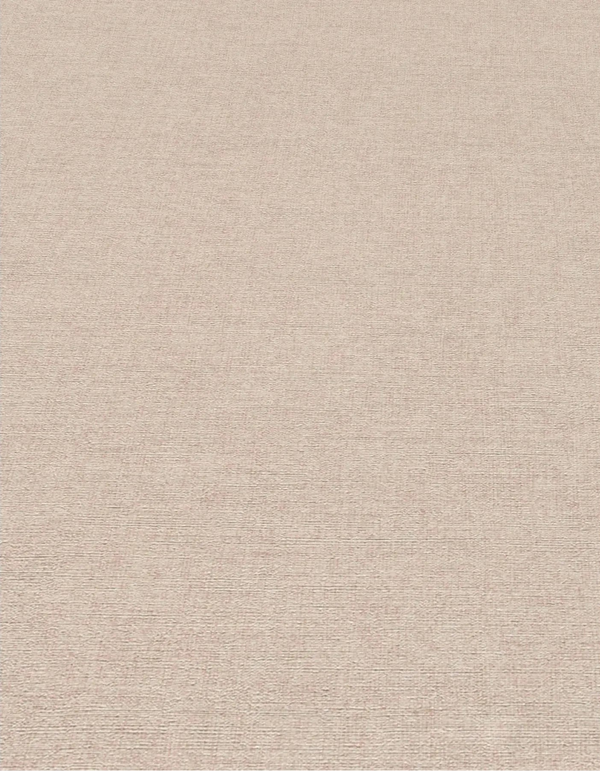 Erismann Forest Dreams 10563-05 wallpaper flat beige woven texture with fine horizontal and vertical thread-like lines.