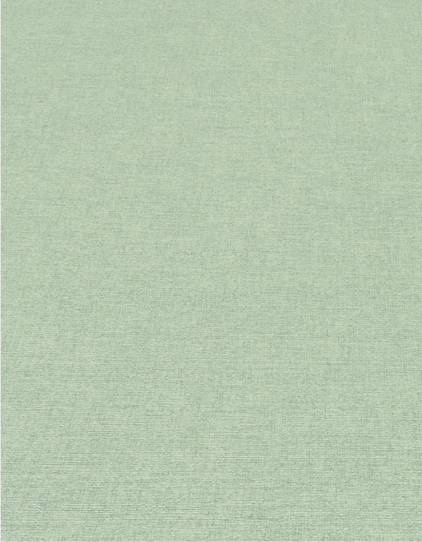 Erismann Forest Dreams 10563-07 wallpaper pale green woven texture with subtle horizontal and vertical fine lines.