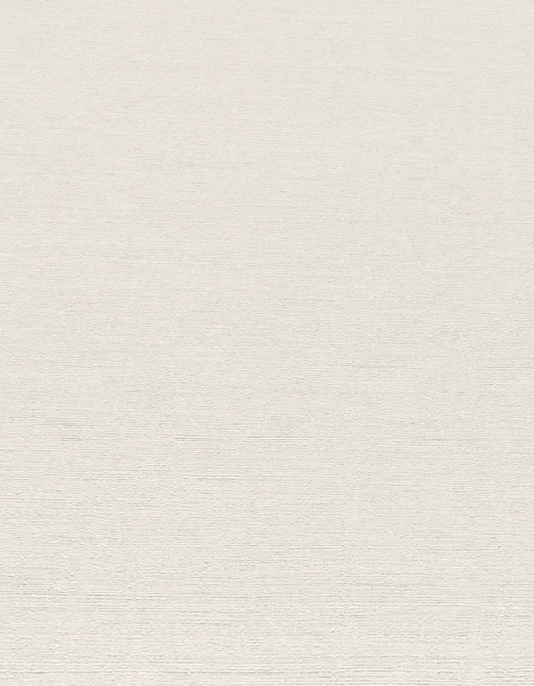 Erismann Forest Dreams 10563-26 wallpaper plain light neutral surface with subtle woven texture and fine horizontal lines.