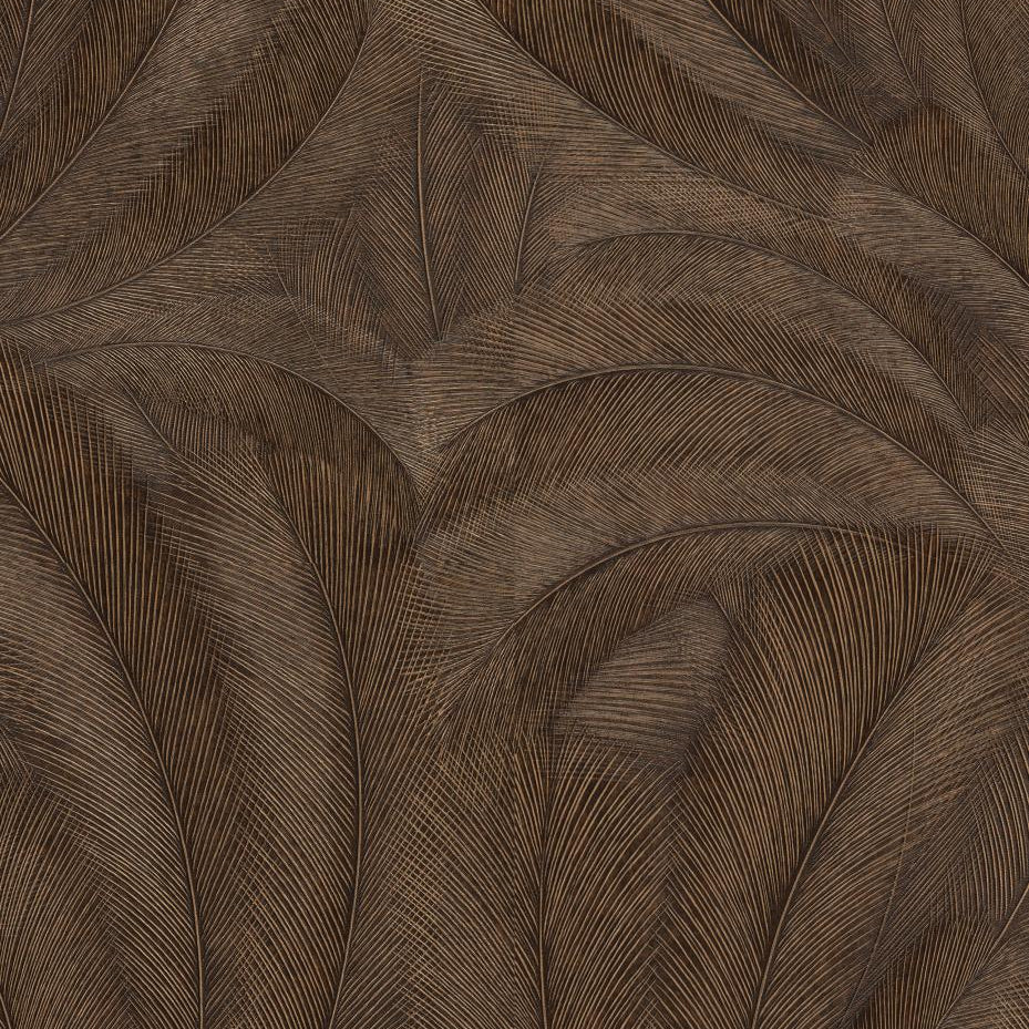 Erismann Elysium botanical wallpaper featuring layered feather-like leaves in deep brown and near-black tones with subtle gold highlights, creating a rich, dramatic texture with elegant depth and movement.