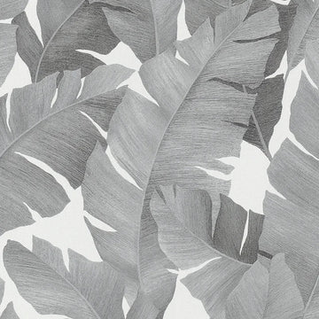 Marburg Avalon 31624 wallpaper with layered palm leaves in tonal grey on a soft white background.