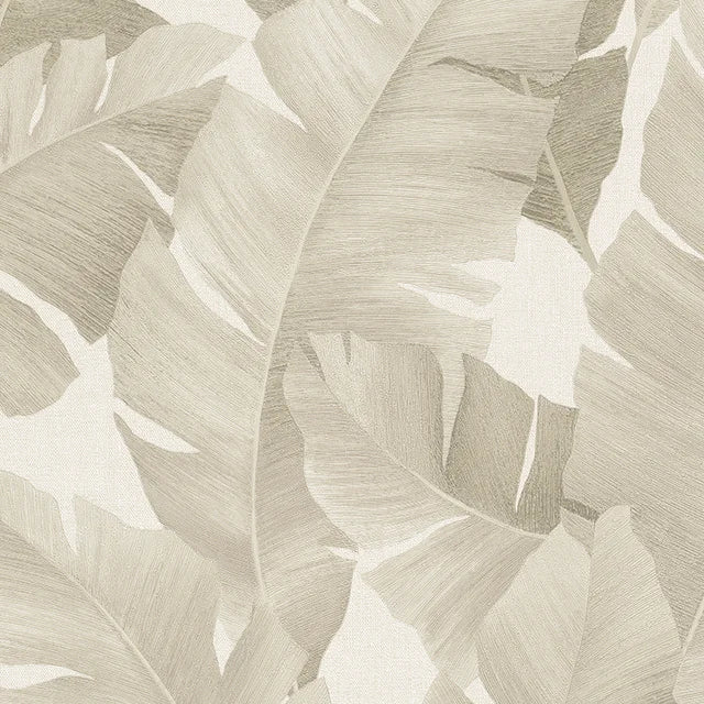 Marburg Avalon 31625 wallpaper roll with large tonal beige palm leaves on a soft white ground.