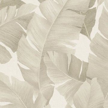 Marburg Avalon 31625 wallpaper roll with large tonal beige palm leaves on a soft white ground.