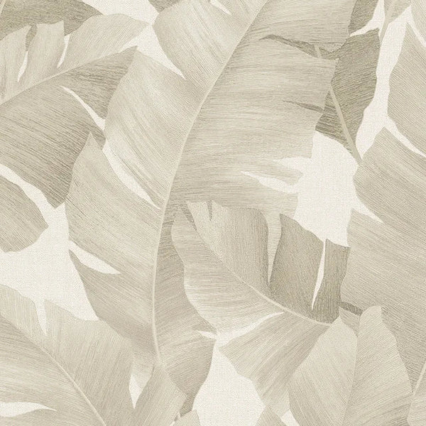 Marburg Avalon 31625 wallpaper roll with large tonal beige palm leaves on a soft white ground.