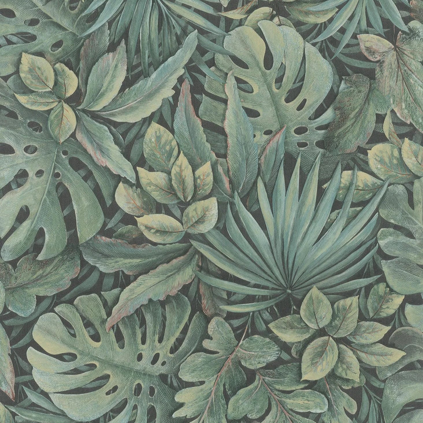 Marburg Botanica 33304 wallpaper with dense tropical olive-green leaves on a dark ground.