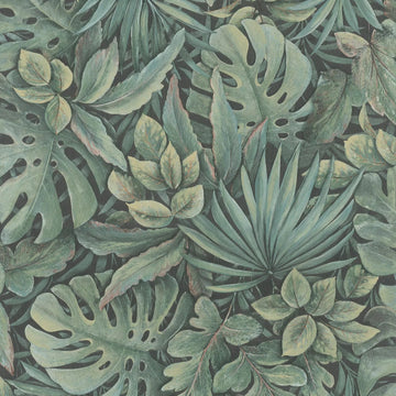 Marburg Botanica 33304 wallpaper with dense tropical olive-green leaves on a dark ground.