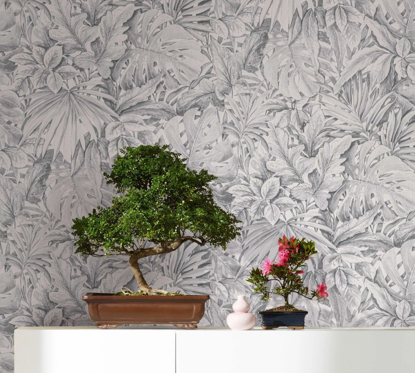Marburg Botanica 33308 Gray tropical leaf wallpaper shown behind a white cabinet topped with a bonsai tree, a smaller flowering bonsai, and a small pink ceramic vase.