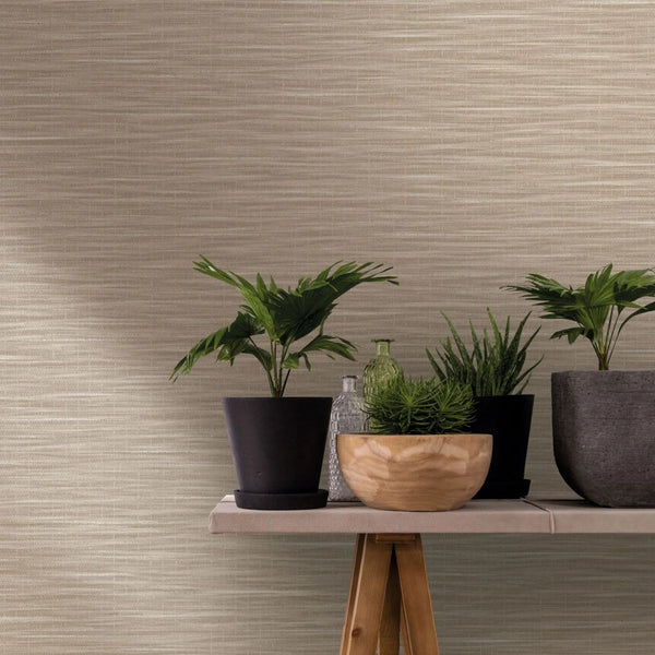 Marburg Botanica 33316 Beige wallpaper with fine horizontal striations shown behind a narrow table styled with potted plants, a wooden bowl, and glass bottles.